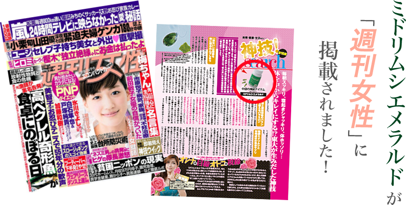 ミドリムシ,ダイエット